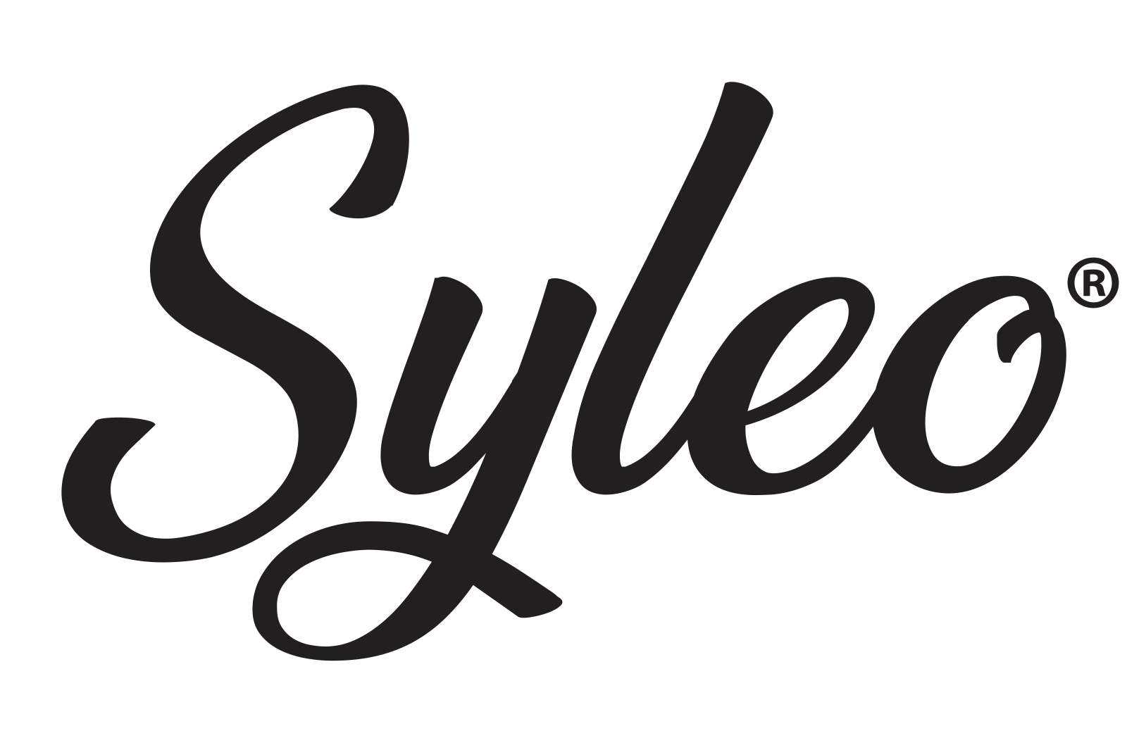 Syleo® Centrale Vapeur à louer pour les particuliers